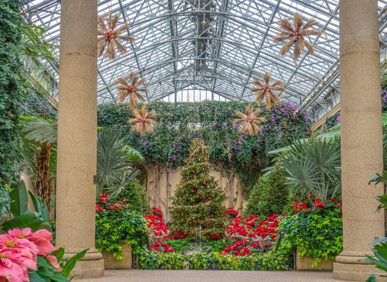 Events Performances Longwood Gardens
